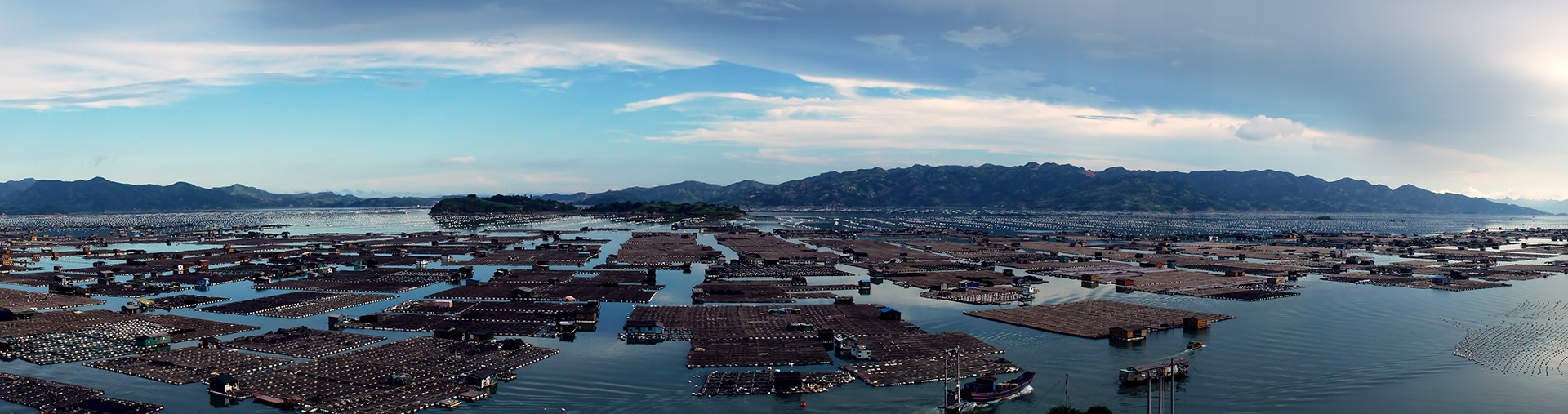 甲烷氣體檢測儀在養(yǎng)殖場沼氣氣體應用解決方案